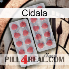 Cidala 19